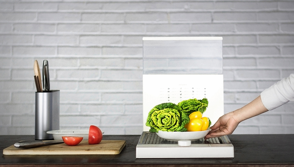 Tang XiaoZheng: Dampfkochtopf 