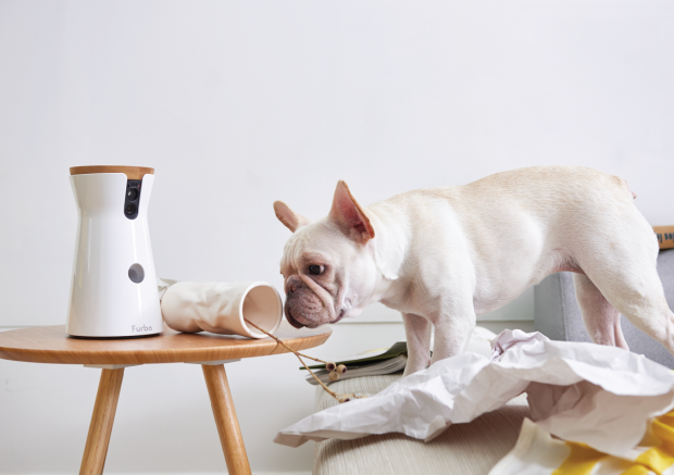  Furbo: Kamera mit Belohnung 