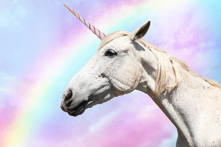 #startupticker-–-+++-bettina-curtze-+++-redalpine-+++-ivy-+++-tado-+++-delivery-hero-+++