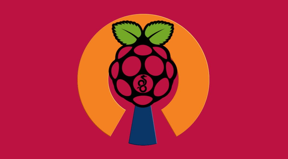 pivpn:-totgesagte-leben-langer