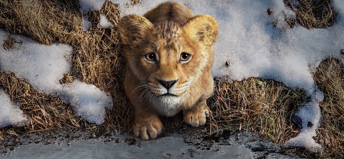 der-neue-trailer-ist-da:-mufasa:-der-konig-der-lowen