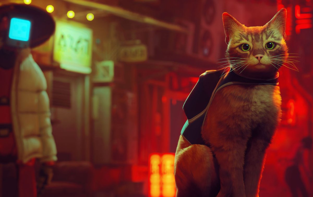 stray:-spiel-startet-am-19.-november-auf-der-switch