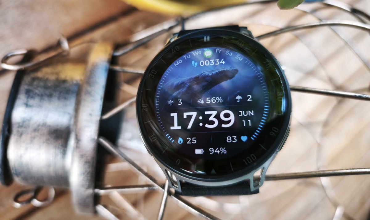 amazfit-cheetah-2-pro-im-test